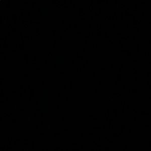 Meet your Posher, Judith